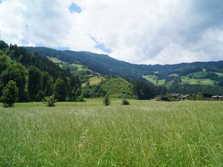 Blick aufs Spieljoch Sommer