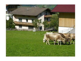 Zillertal-Fügenberg-Landhaus-Kröll-Gästehaus-Somme