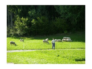 Zillertal-Fügenberg-Landhaus-Kröll-Gästehaus-Somme