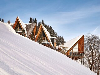 2023-12_ZS_Treeloft_M4