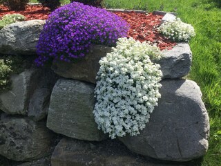 33A56530-31FD-4D72-B3A5-40C518A02F92