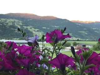 Sonnenuntergang_Gaestehaus Monitzer
