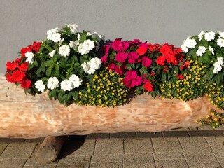 Apartment_Monitzer_Kaltenbach_Blumentrog