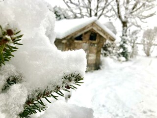 mobil - 25.01.2021 3863