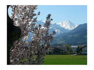 Apart Tyrol Frühlingserwachen