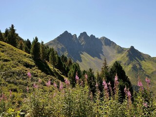 Blick aufs Kellerjoch
