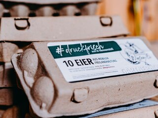 1a734b5e-777b-4867-b4b5-f5b31d7ac54d