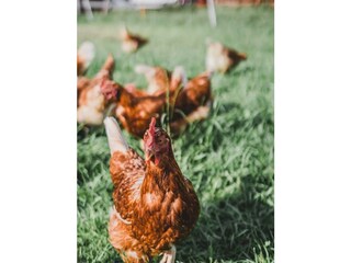 24d28952-3538-41e8-bb64-83d8323203a6