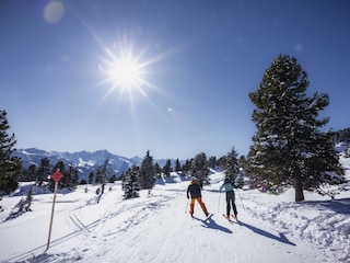 Winter2023@AndiFrank_1723