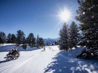 Winter2023@AndiFrank_1754