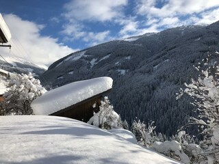 Bienenhaus und Terrasse