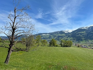 IMG-20240429-WA0040