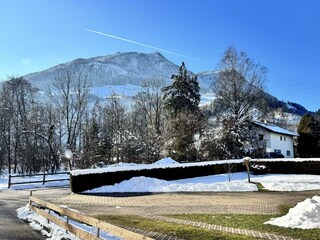 IMG_1440