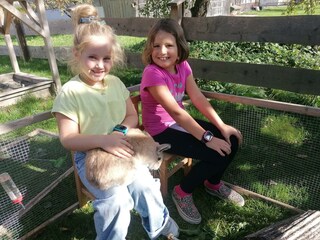 Die Tiere freuen sich auf Streicheleinheiten