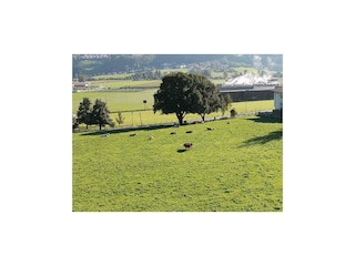 Zillertal-Fuegen-Appartements-Huber-Top5-Aussicht