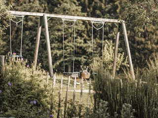 ASTER familienurlaub (2)