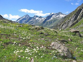 Vakantieappartement Steinhaus im Ahrntal  17
