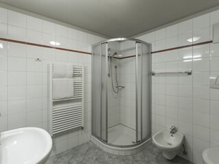 Vakantieappartement Steinhaus im Ahrntal Badkamer 10