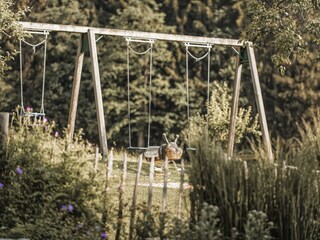 ASTER familienurlaub (2)