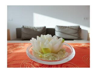 Haus am Sonnenhang-Hart-Zillertal-Chouchzone