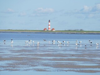 Apartamento de vacaciones St. Peter-Ording Entorno 26