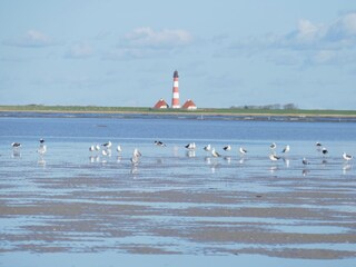 Ordinger Strand mit Westerhever Leuchtturm