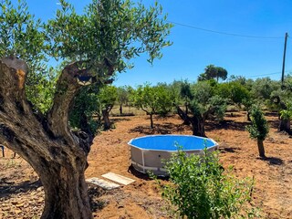 Casa per le vacanze Selinunte Registrazione all'aperto 5