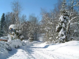 Ferienhaus Lindberg Umgebung 37