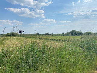 Chalet De Veenhoop Environnement 17