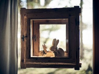 Capanna alpina Grän Caratteristiche 21