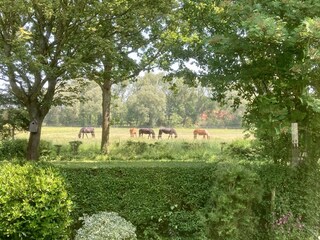 Blick vom Wohnzimmer