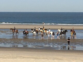 Casa per le vacanze Oostkapelle Registrazione all'aperto 14