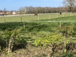 Casa per le vacanze Oostkapelle Ambiente 38