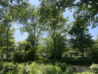 Casa per le vacanze Oostkapelle Registrazione all'aperto 18