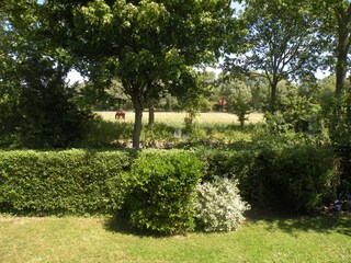 Casa per le vacanze Oostkapelle Registrazione all'aperto 5