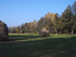 Heuhaufen im Spreewald