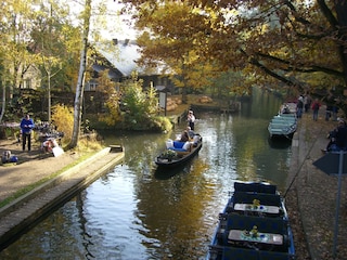 Kahnfahrt im Spreewald