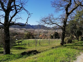 Holiday cottage San Macario Environment 22