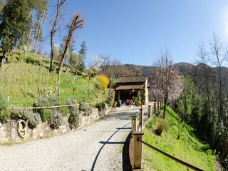 Maison de vacances San Macario Équipement 9