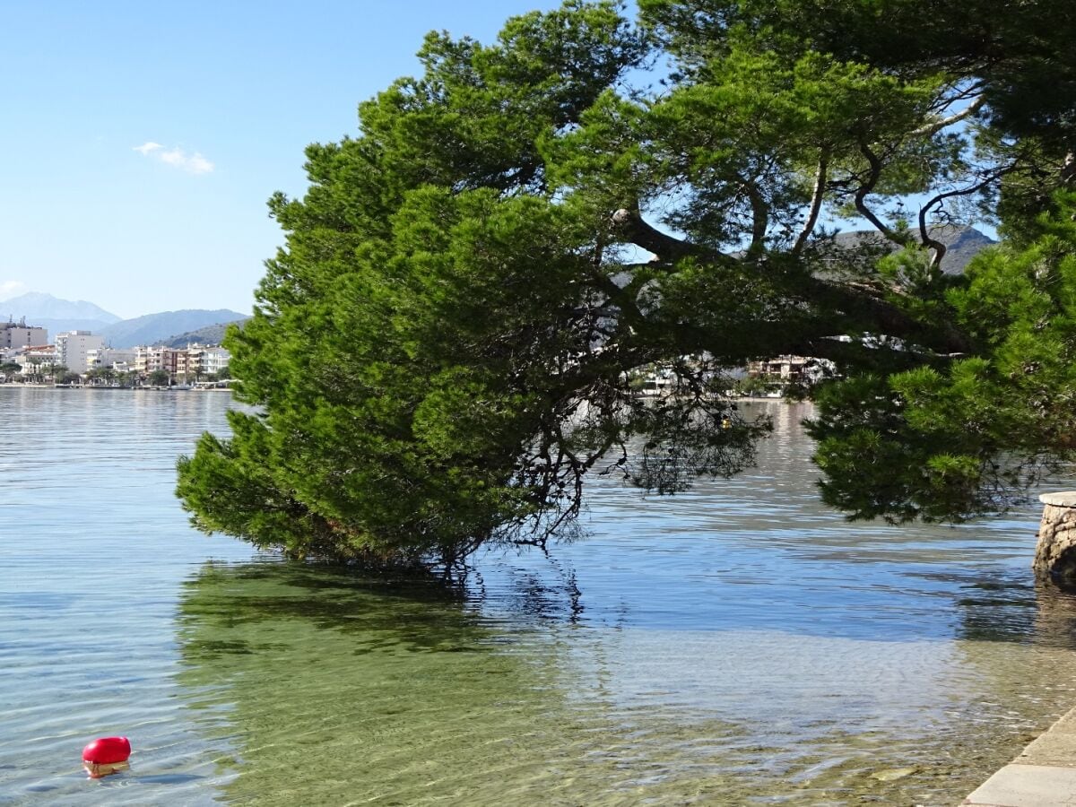 Pinien Promenade