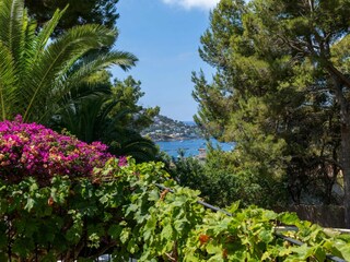 Established Grounds and beautiful views