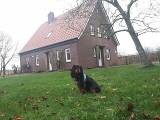 Holiday house Stedesdorf Outdoor Recording 2