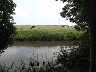 Holiday house Stedesdorf Outdoor Recording 4
