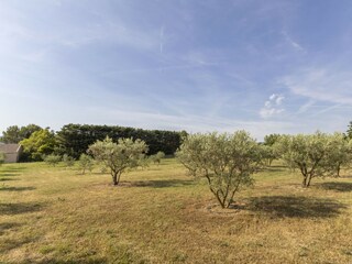 Ferienhaus Saint-Remy-de-Provence Umgebung 33