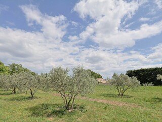 Ferienhaus Saint-Remy-de-Provence Umgebung 35