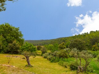 Villa Lorgues Environment 36