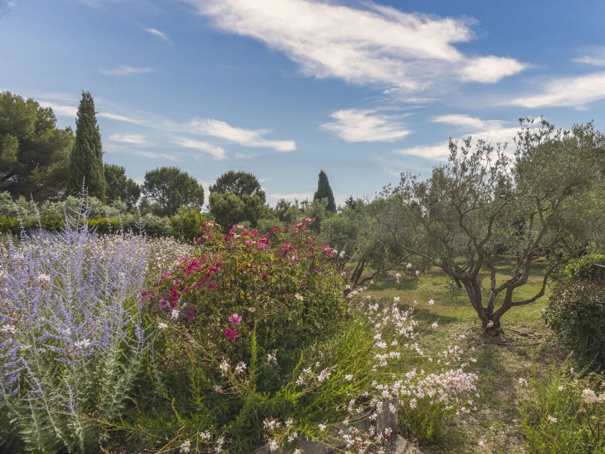 Villa Saint-Remy-de-Provence Umgebung 36