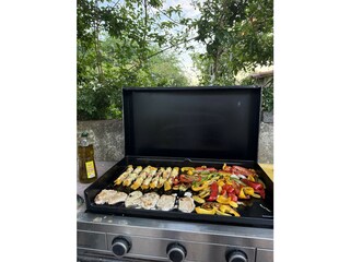 Villa Pyrénées-Orientales Outdoor Recording 21