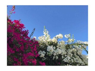 Villa Costa de Lisboa  29