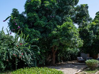 Villa Saly Umgebung 39